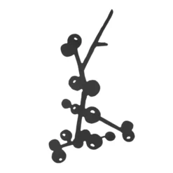 Berry grytunderlägg, Svart