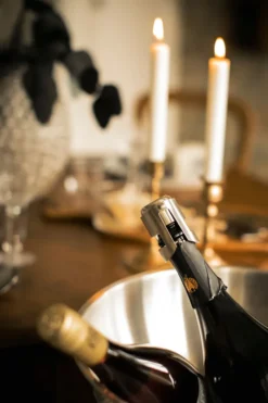 Bourdeaux vin- och champagneförslutare, Rostfritt stål