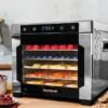 Gastroback Design 46602 Dehydrator Pro, Silver