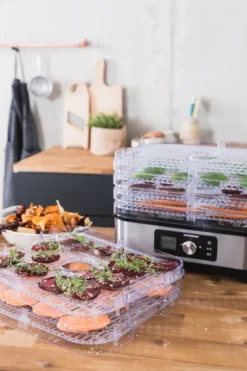 Gastroback Design 46600 dehydrator natural svamptork, Silver