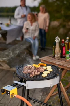 Hällmark grillhäll vändbar Ø42 cm, Gjutjärn