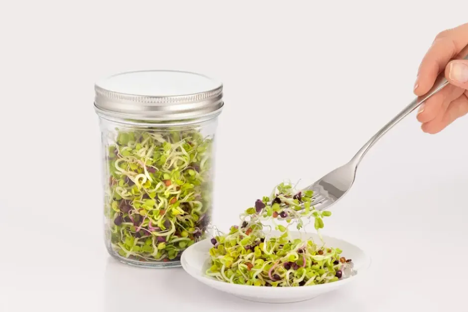 Kilner groddningsset, Klar-vit, 500 ml
