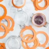 Kilner gummiringar standard, Orange, 0,35-2 L, 6-pack