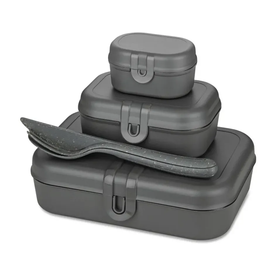 Pascal Ready Set 3x lunchlåda och bestick, Nature ash grey