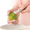 Profile citrusskalrivare, Rostfritt stål