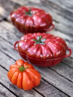 Staub tomatgryta i stengods 16 cm 0,5 l, röd