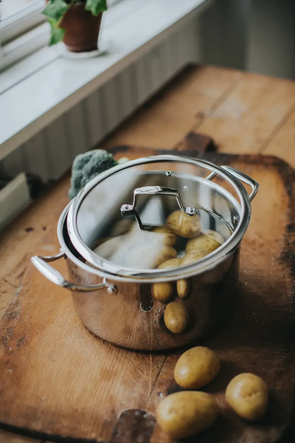 Trivence gryta, Rostfritt stål, glaslock, 5 L